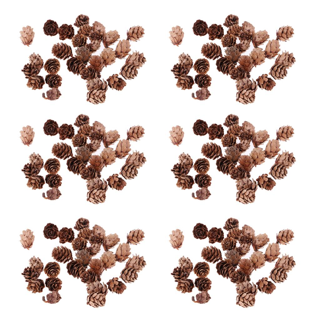 180Pcs Real Natural Small Pine Cones in Bulk for Accents Decoration Ornament
