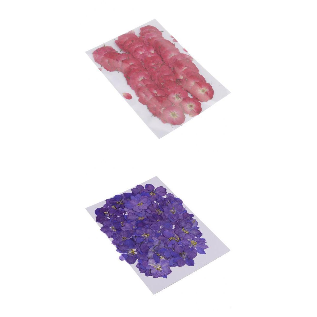 100 Pieces Pressed Dried Flowers for Art Craft Scrapbooking Delphinium&Rose