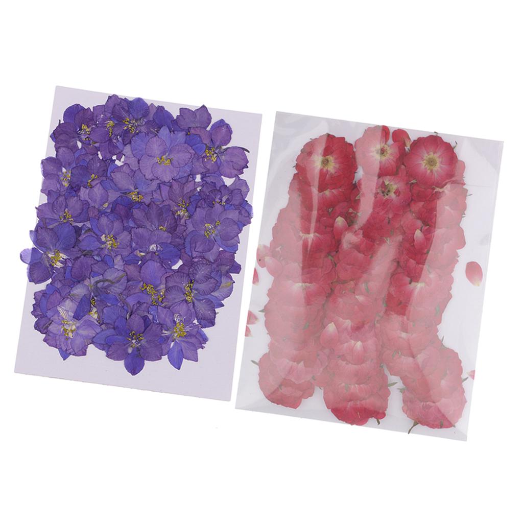 100 Pieces Pressed Dried Flowers for Art Craft Scrapbooking Delphinium&Rose