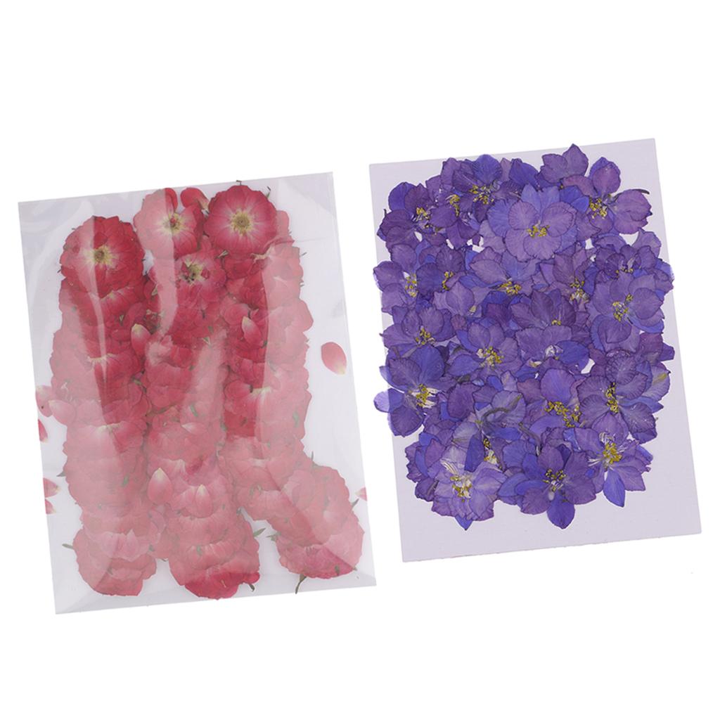 100 Pieces Pressed Dried Flowers for Art Craft Scrapbooking Delphinium&Rose