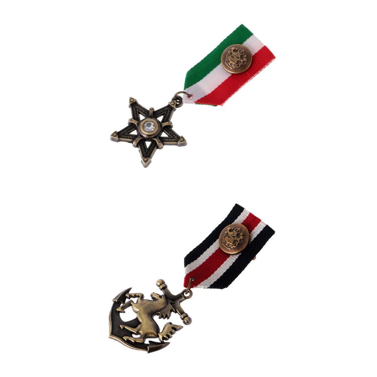 2 Pieces Vintage Men's Star Medal Badge Clothing Costume Navy Brooch Pin