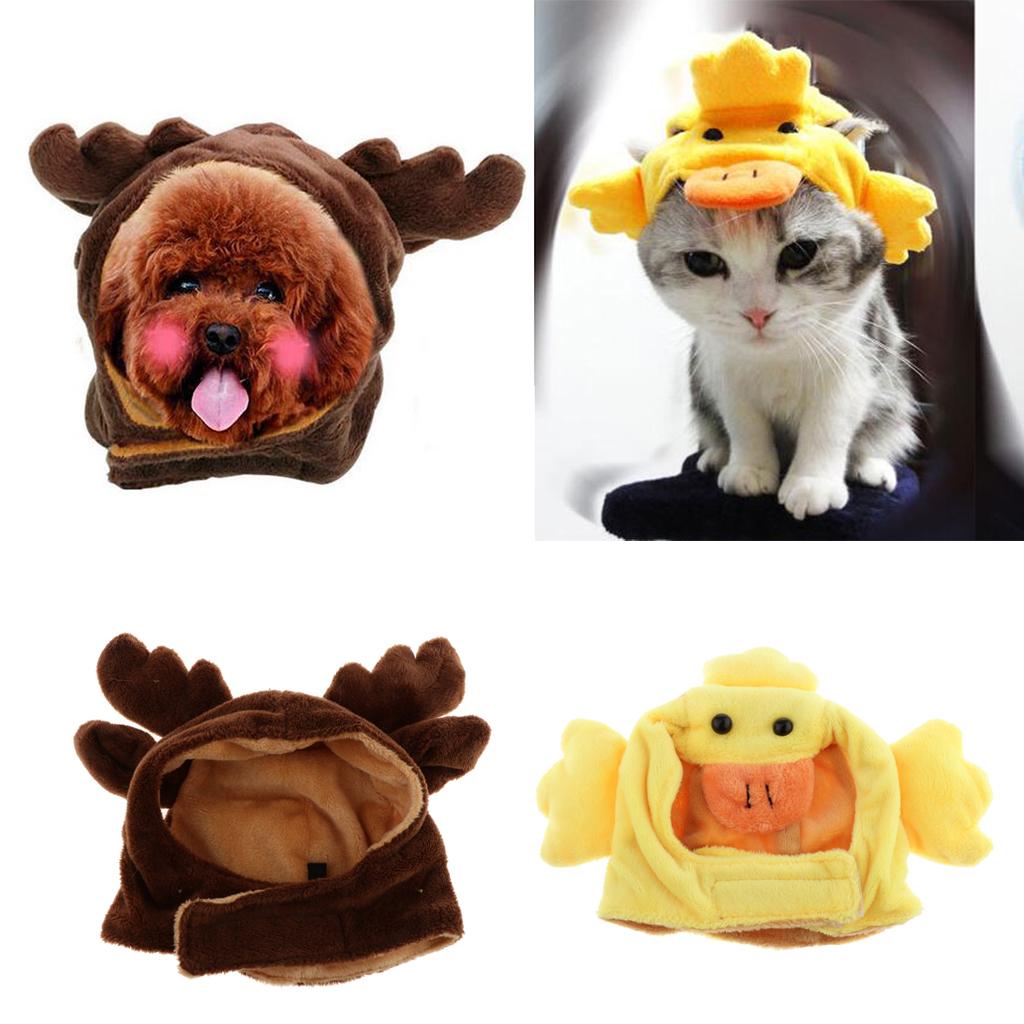 2pcs Cute Pet Costume Hat Cap for Puppy Teddy Small Dog Cat