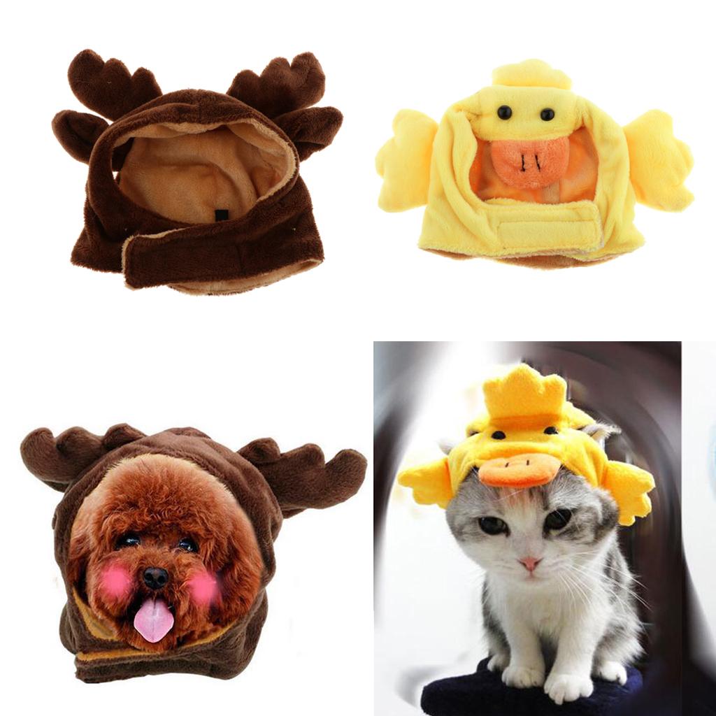 2pcs Cute Pet Costume Hat Cap for Puppy Teddy Small Dog Cat