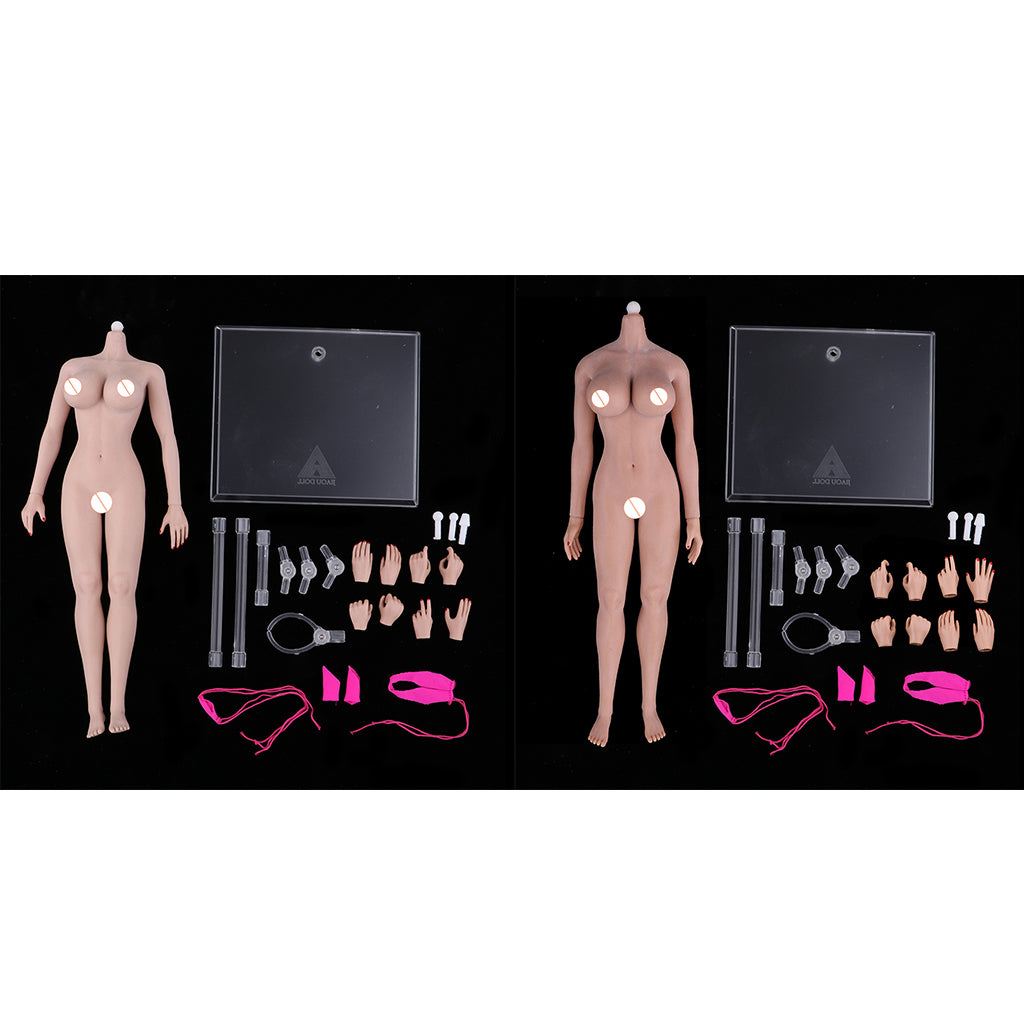 2 Pieces 1:6 Scale Super Flexible European Shape Female Seamless Body