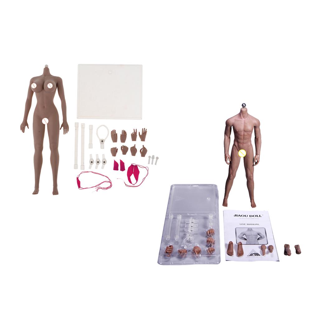 1/6 Scale Super Flexible Seamless Body with Skeleton + Female Seamless Body