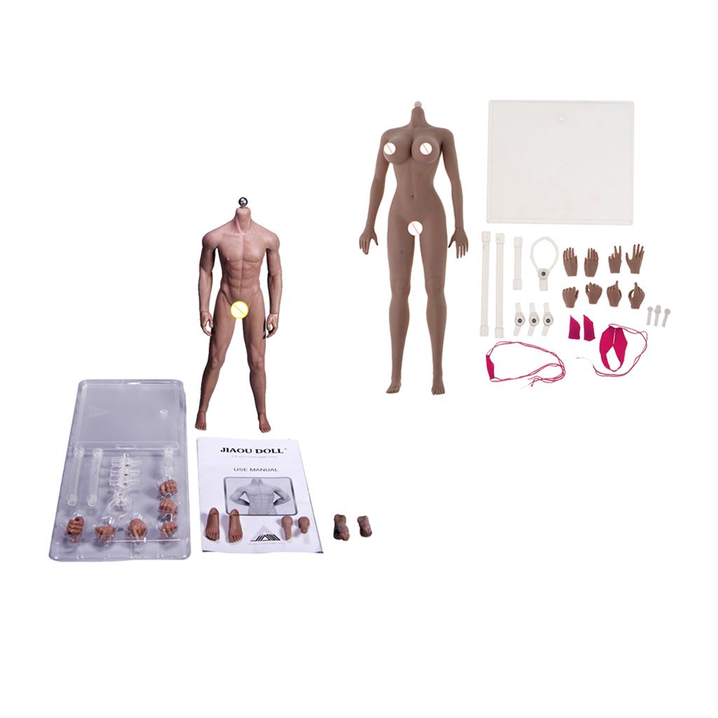 1/6 Scale Super Flexible Seamless Body with Skeleton + Female Seamless Body