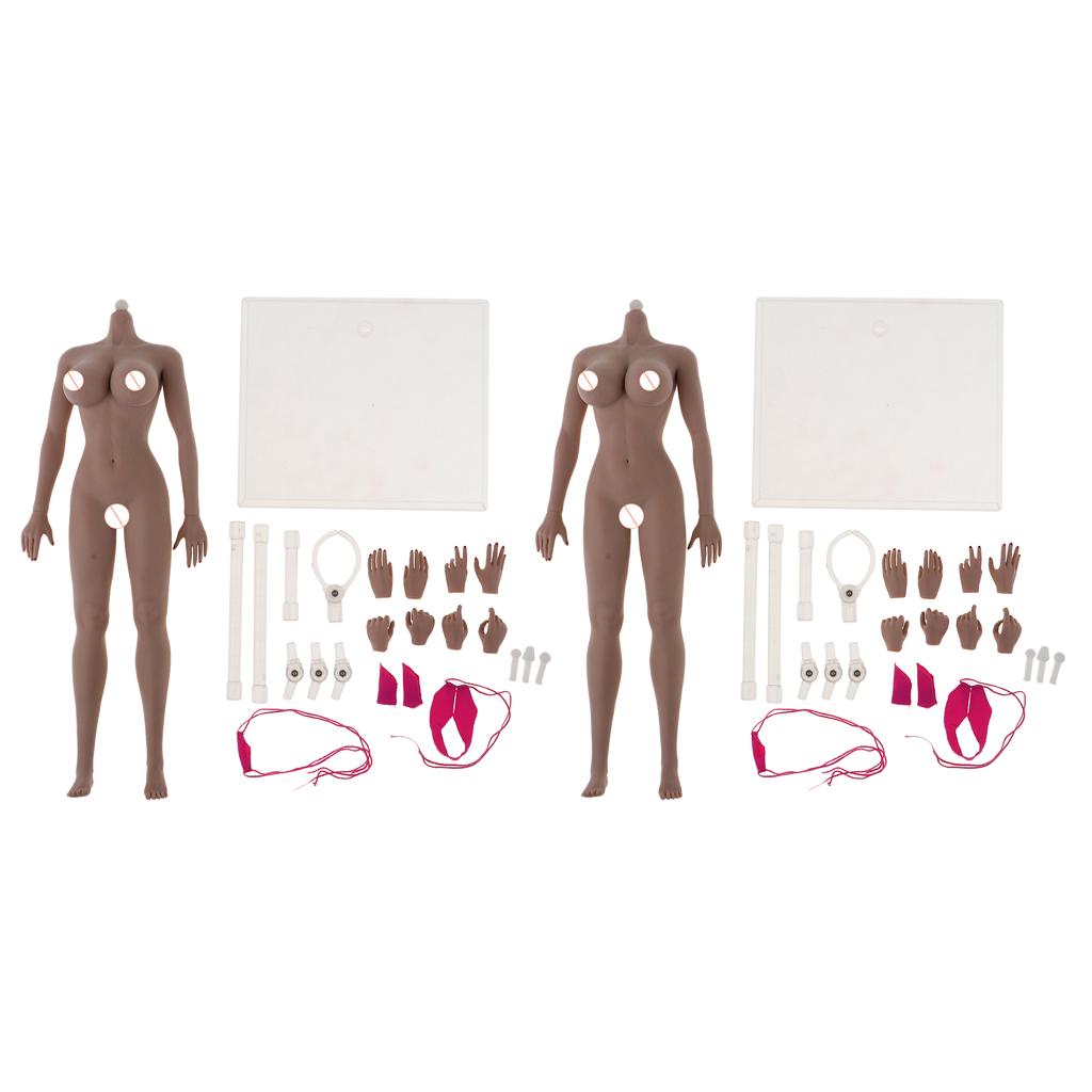 2pcs 1:6 Super Flexible European Shape Female Seamless Body New Wheat Skin