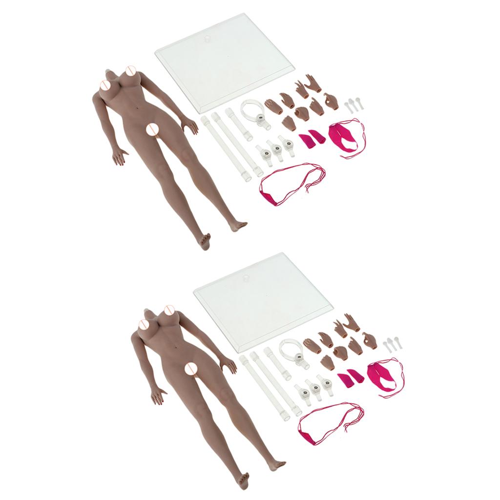 2pcs 1:6 Super Flexible European Shape Female Seamless Body New Wheat Skin
