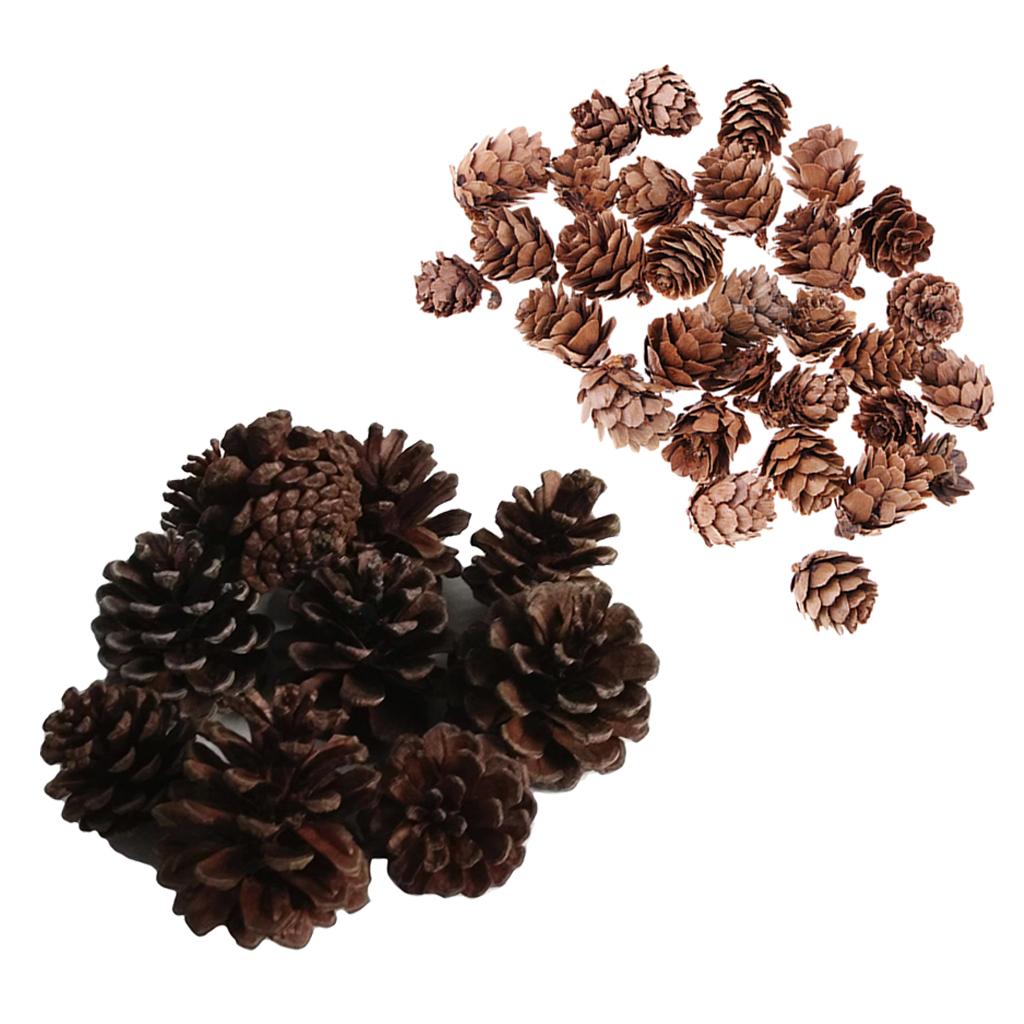 40 Pcs Real Natural Small Pine Cones in Bulk for Accents Decoration Ornament