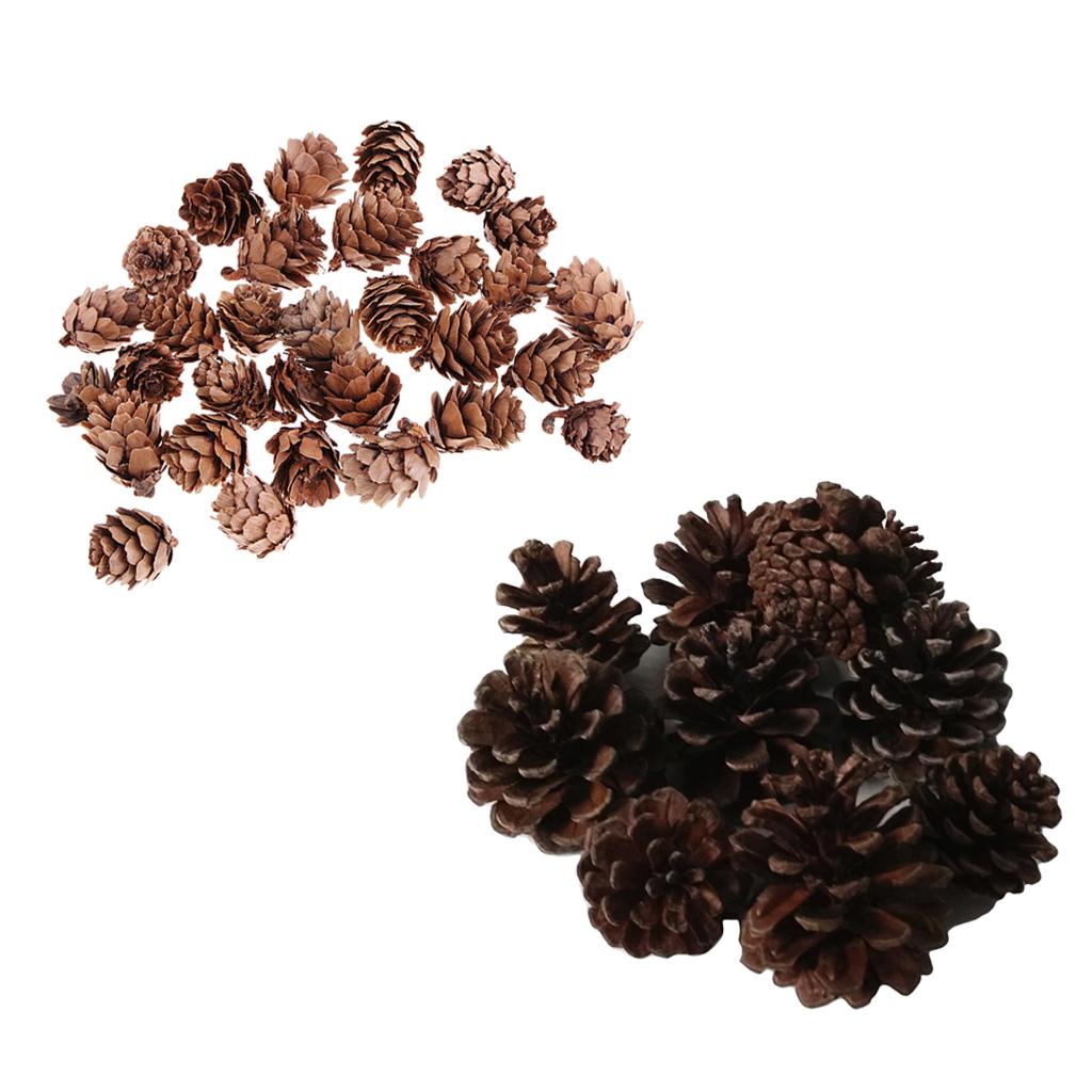40 Pcs Real Natural Small Pine Cones in Bulk for Accents Decoration Ornament