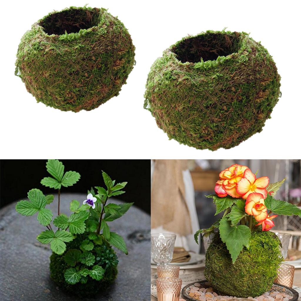 2Piece Creative Moss Ball Flower Pot Planter Bonsai Plant Holder Home Garden