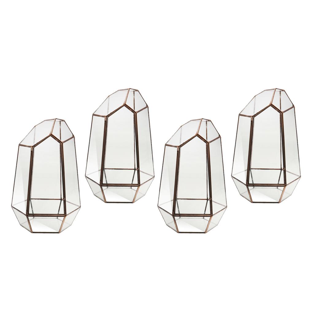 4 Irregular Glass Geometric Terrarium Box Tabletop Succulent Plant Planter