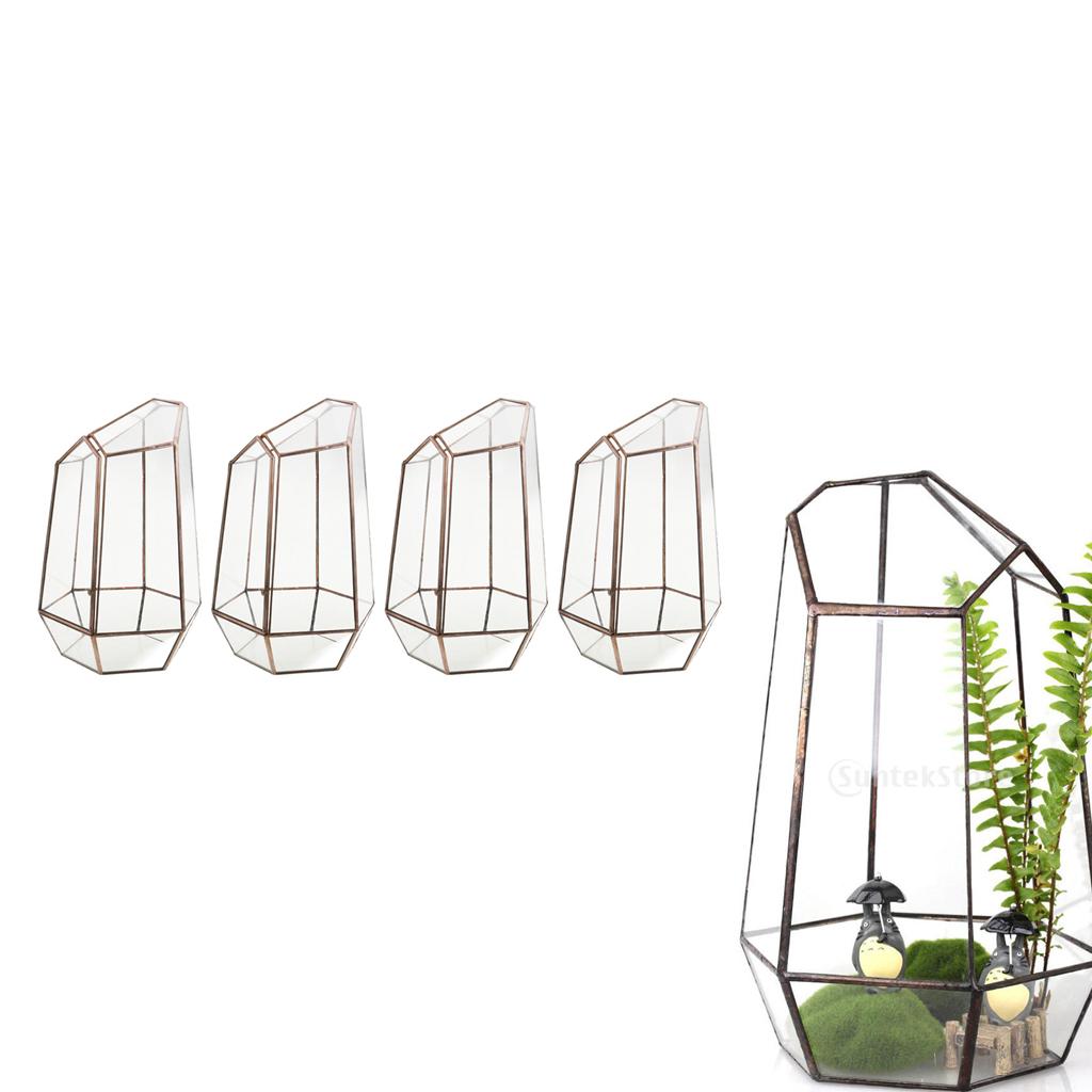4 Irregular Glass Geometric Terrarium Box Tabletop Succulent Plant Planter