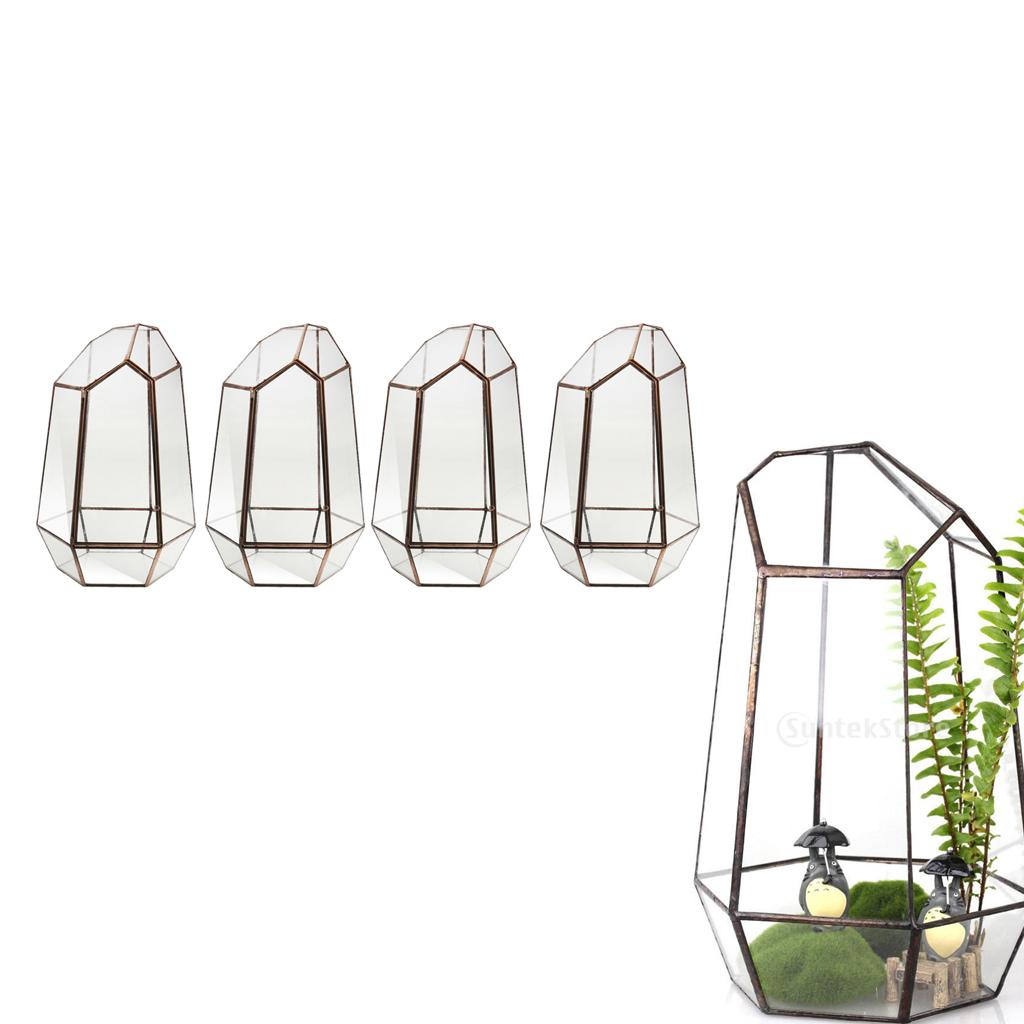 4 Irregular Glass Geometric Terrarium Box Tabletop Succulent Plant Planter