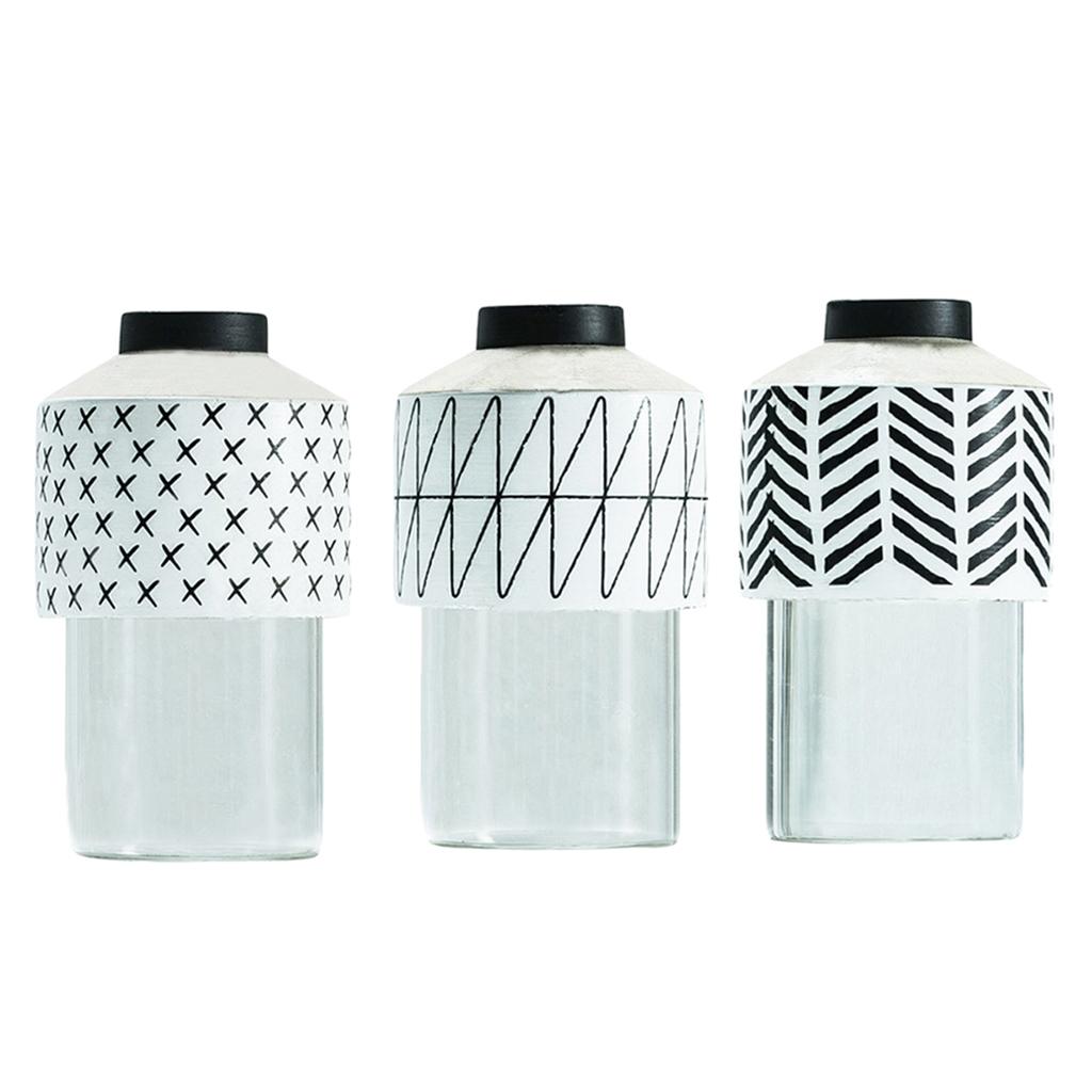 3pcs Decorative Cement Glass Vase Water Planting Flower Pot
