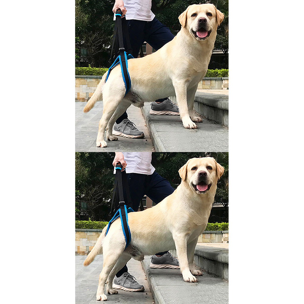 2pcs Dog Hind Leg Auxiliary Belt Lift Harness Mobility Aid Support Harness