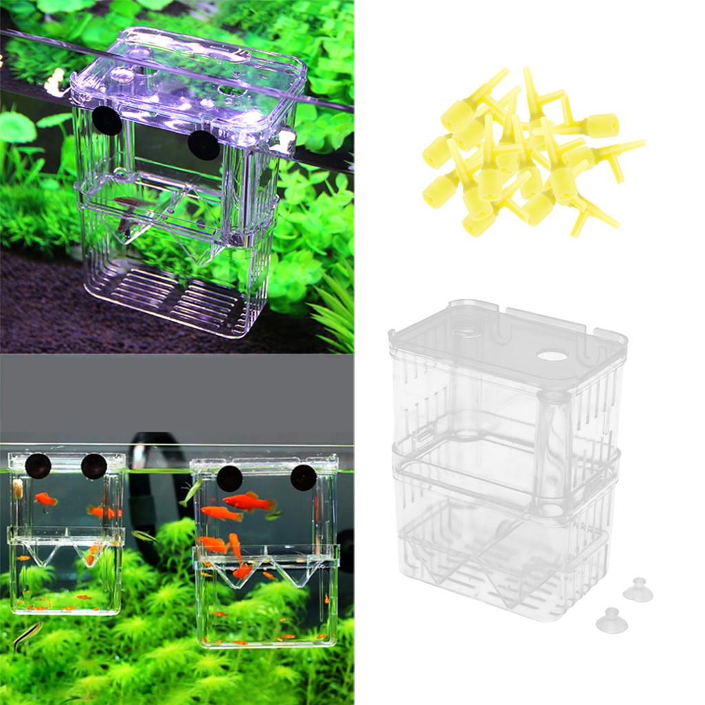 Clear Fish Hatchery Isolation Box and 100Pcs Air Valves