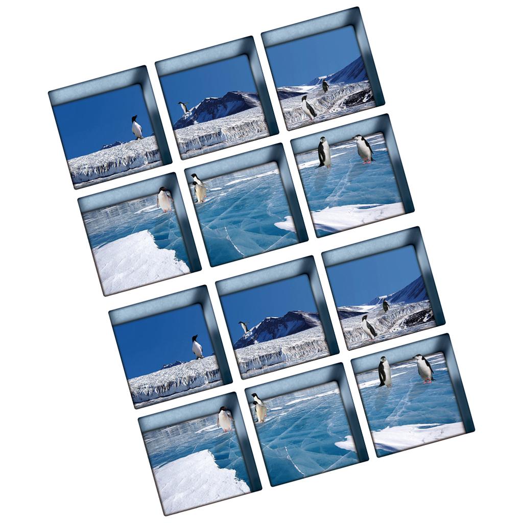 12pcs 13x13cm 3D Effect Anti Slip Waterproof Bathtub Sticker Penguin