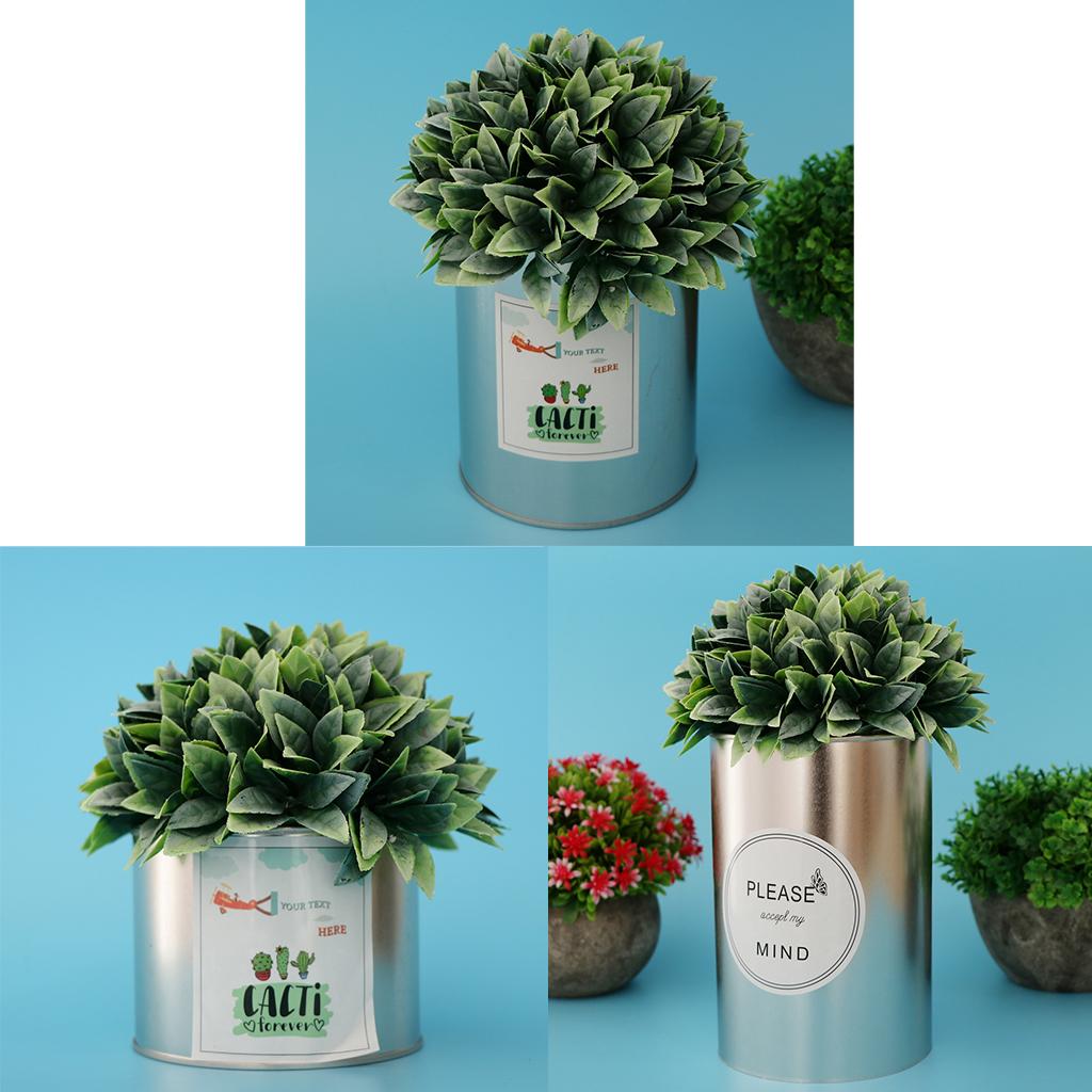 3Pcs Succulent Cactus Flowervase Metal Flower Pitcher for Home Decoration