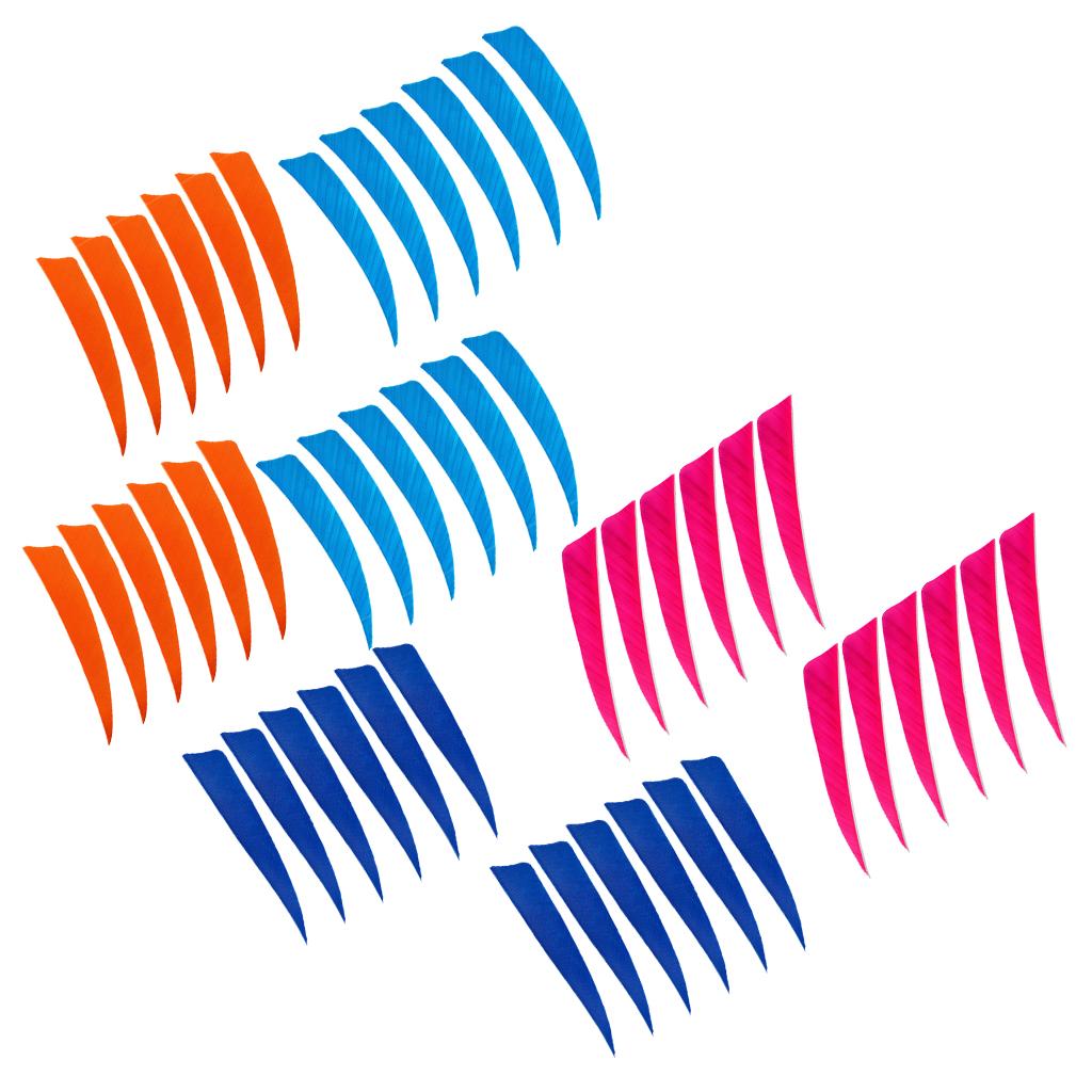 48 Pieces 4 Inch Archery Arrow Natural Turkey Feathers Fletchings Vanes C