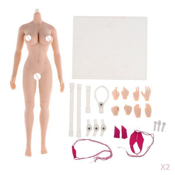 2pcs 1:6 Super Flexible European Shape Female Seamless Body Normal Skin