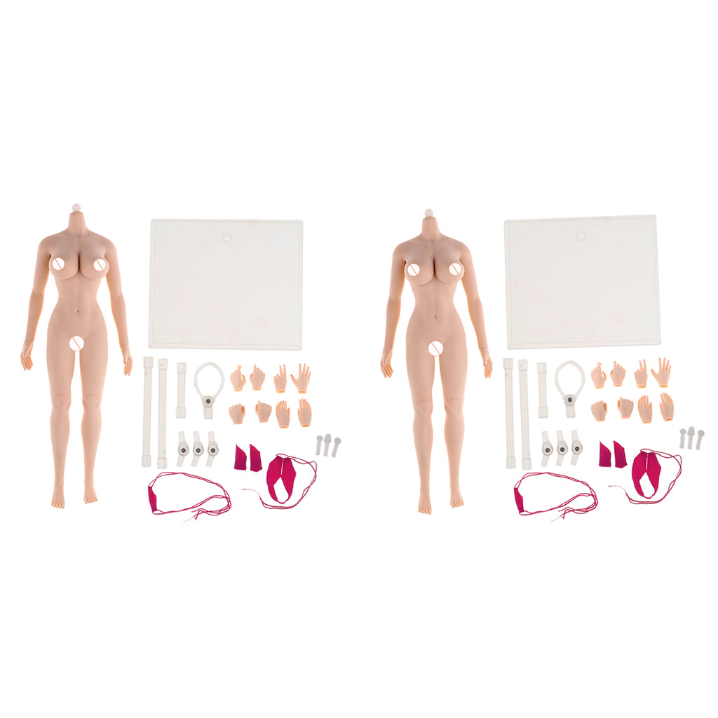 2pcs 1:6 Super Flexible European Shape Female Seamless Body Normal Skin