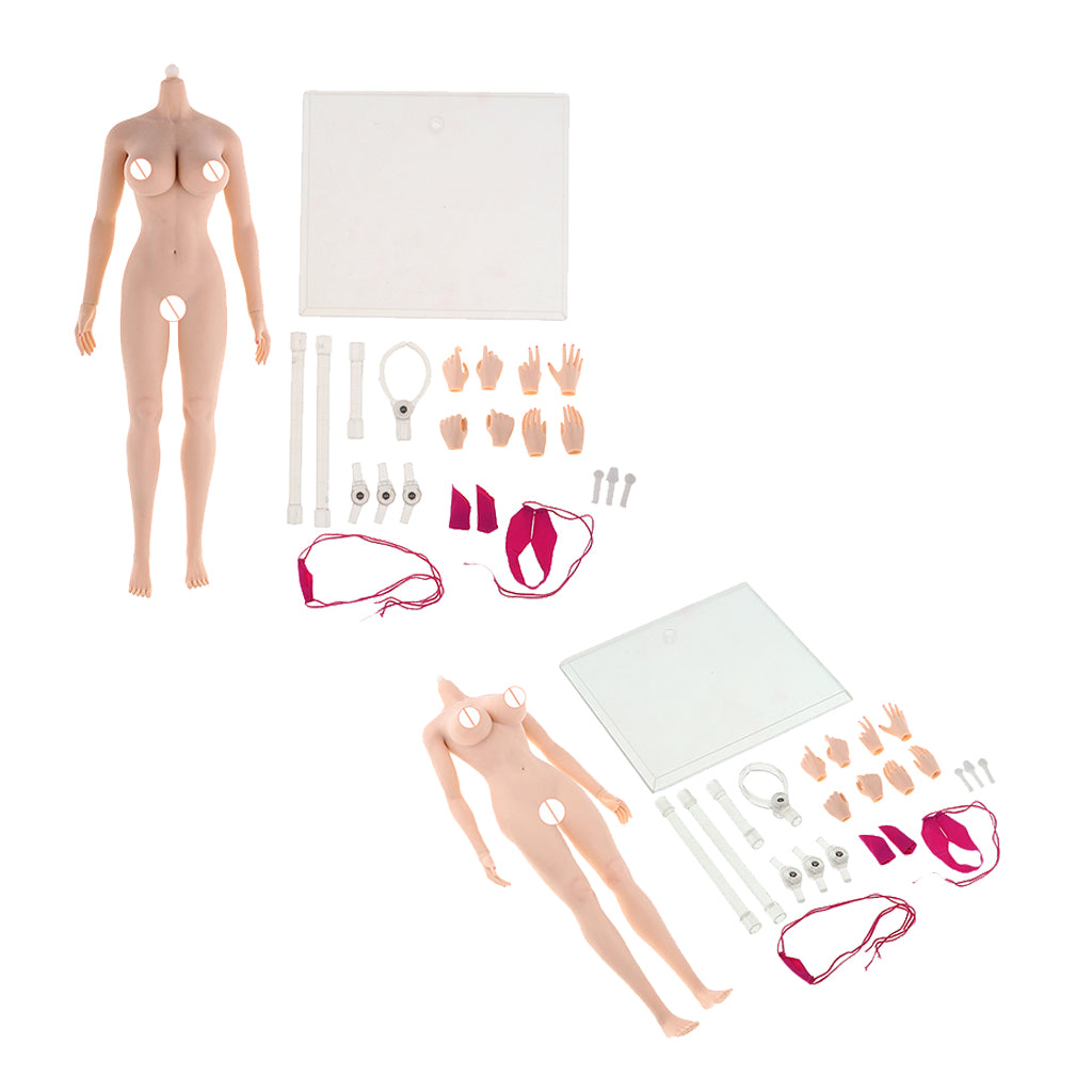 2pcs 1:6 Super Flexible European Shape Female Seamless Body Normal Skin