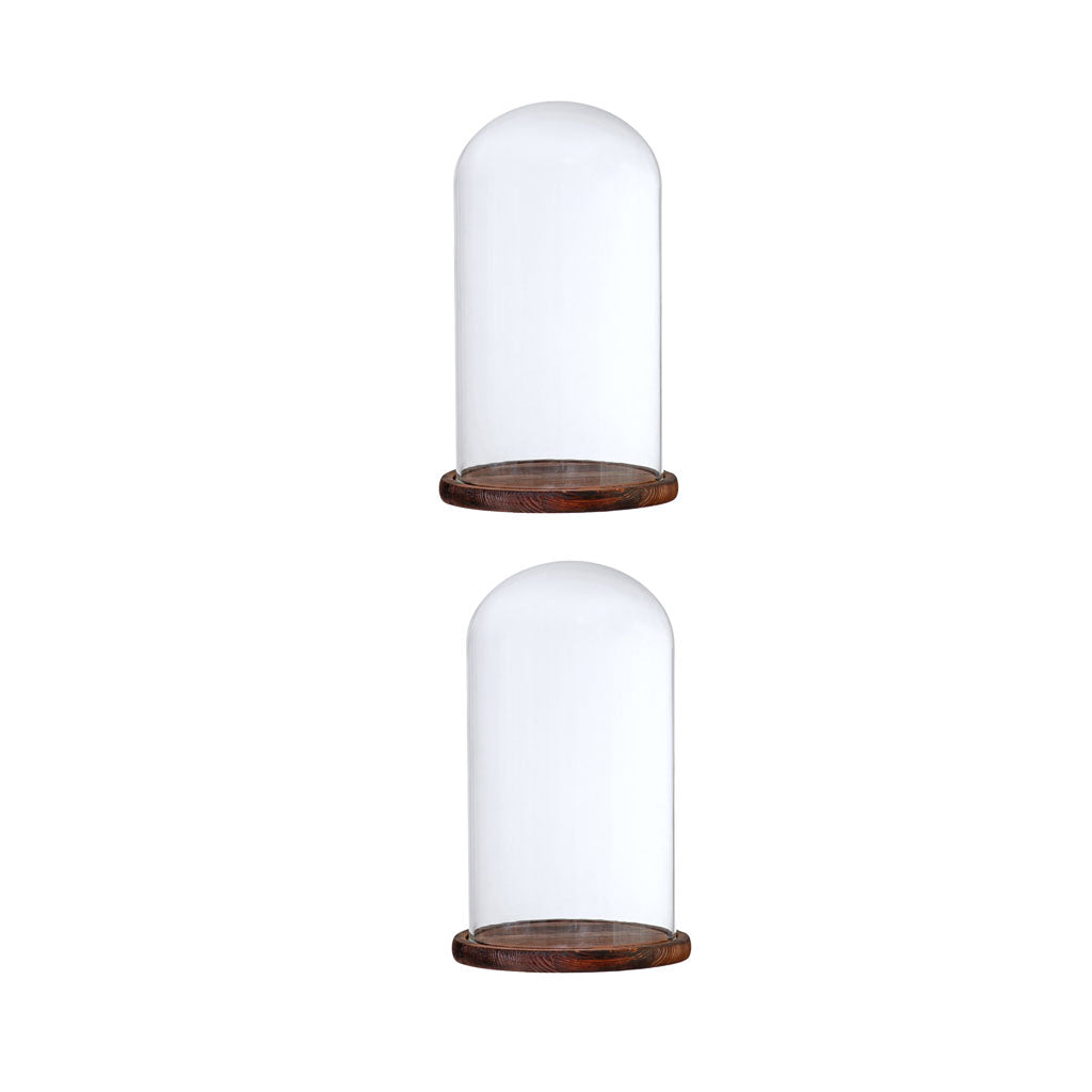 2xGlass Dome Cloche w/Wood Base Flower Landscape Holder Glass Cover Brown F