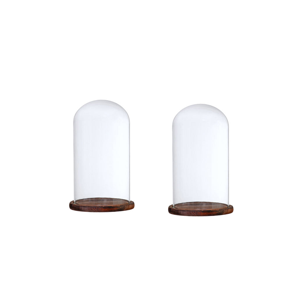2xGlass Dome Cloche w/Wood Base Flower Landscape Holder Glass Cover Brown F