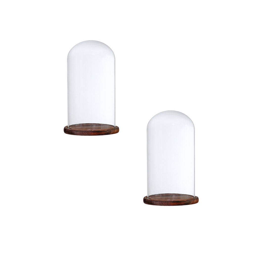 2xGlass Dome Cloche w/Wood Base Flower Landscape Holder Glass Cover Brown F