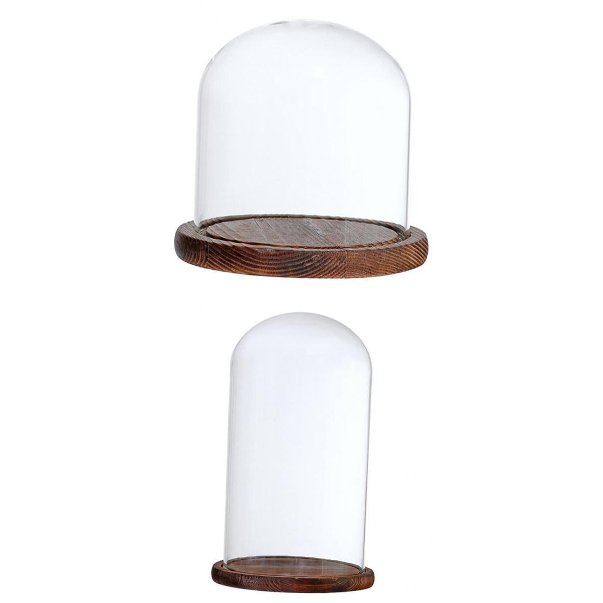 2xGlass Dome Cloche Flower Landscape Holder Glass Cover Brown 2 Siez