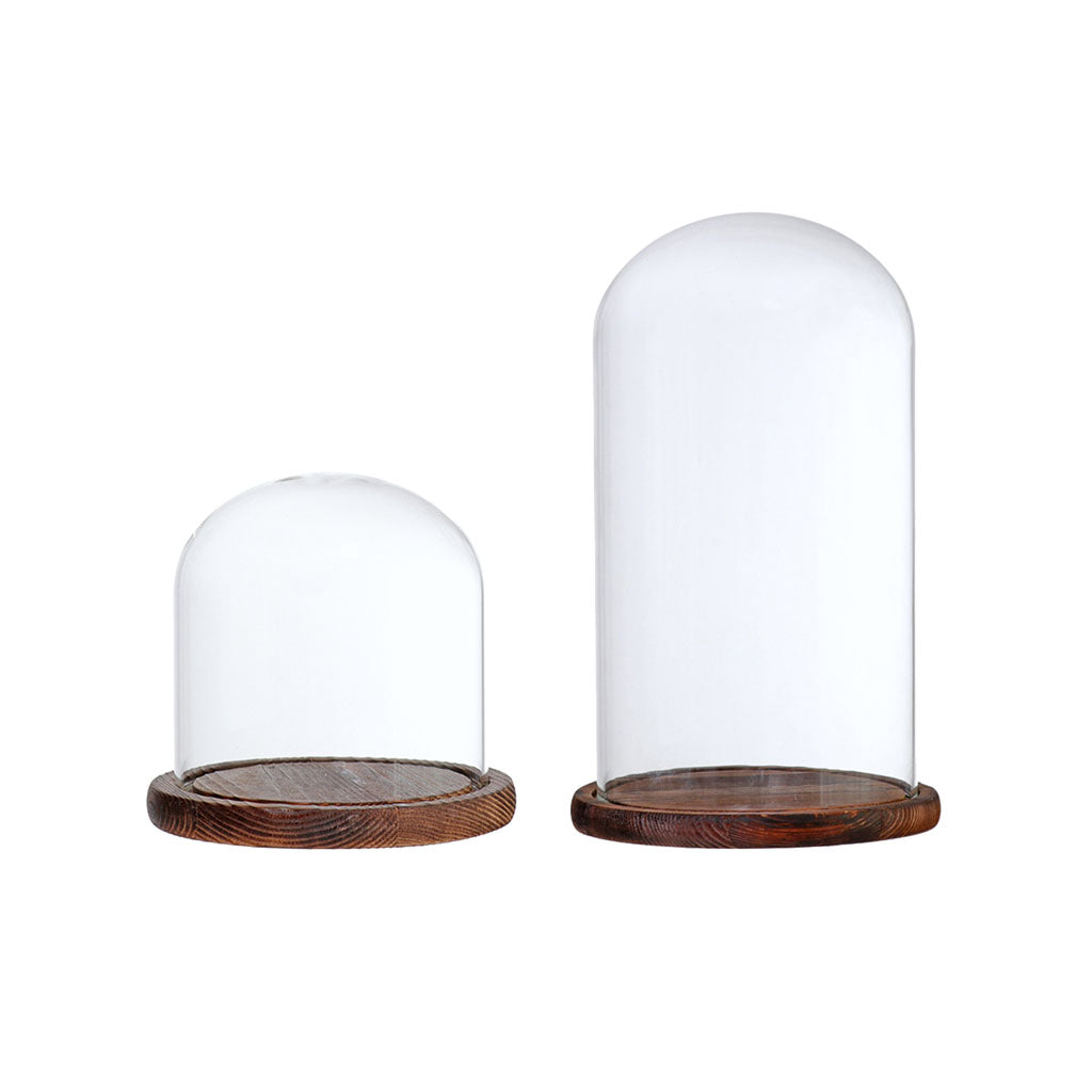 2xGlass Dome Cloche Flower Landscape Holder Glass Cover Brown 2 Siez