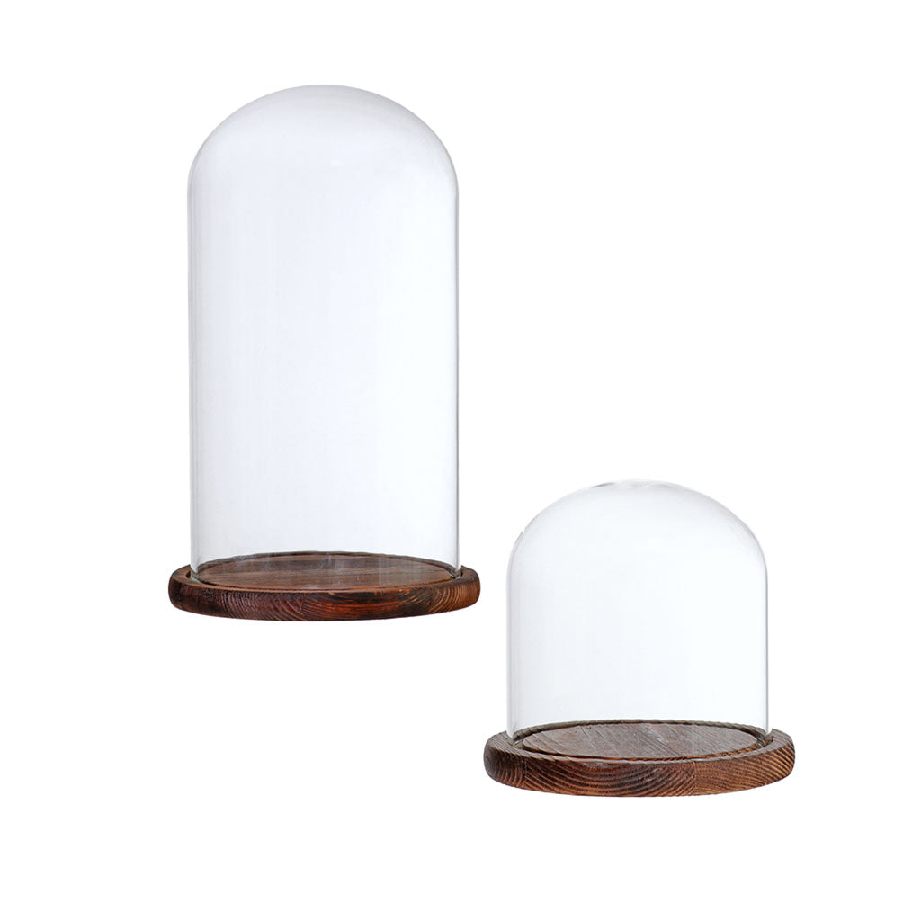 2xGlass Dome Cloche Flower Landscape Holder Glass Cover Brown 2 Siez