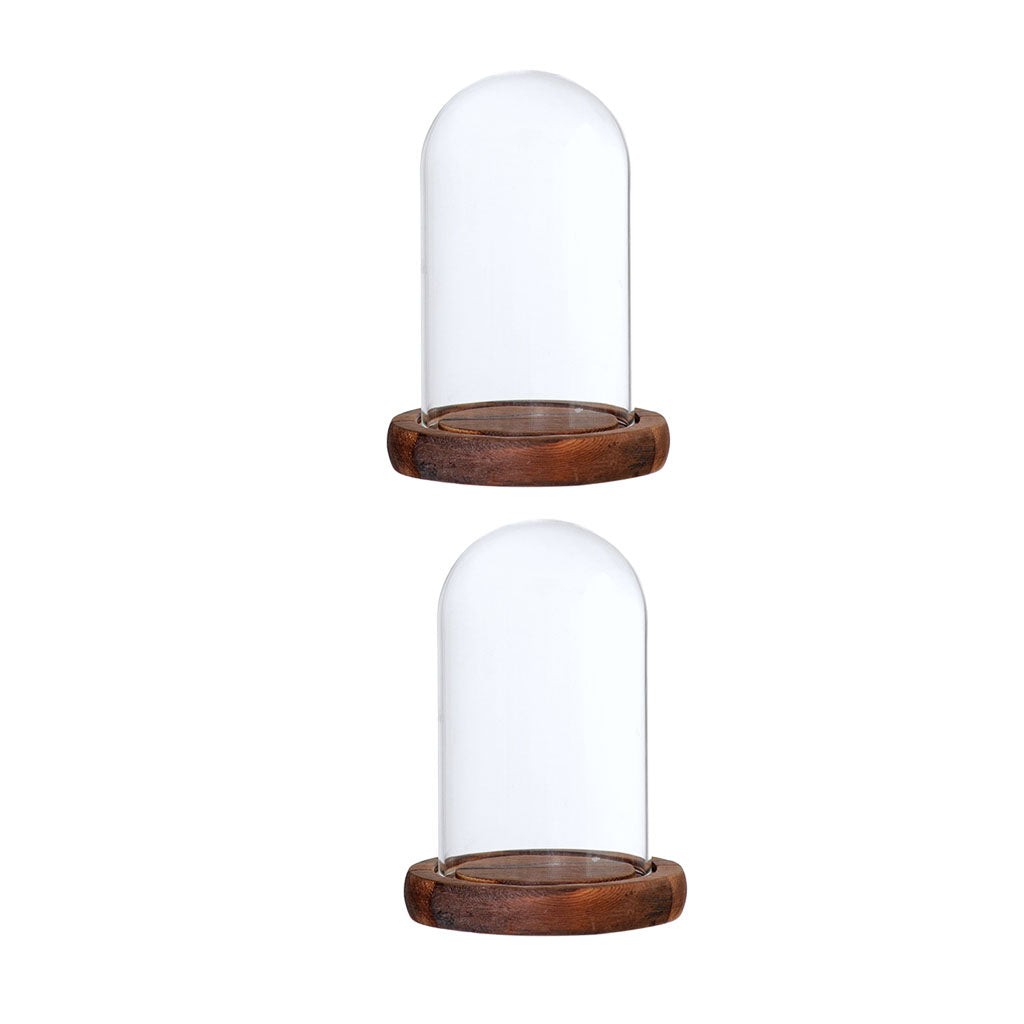 2xGlass Dome Cloche with Base Flower Landscape Holder Glass Cover Brown A