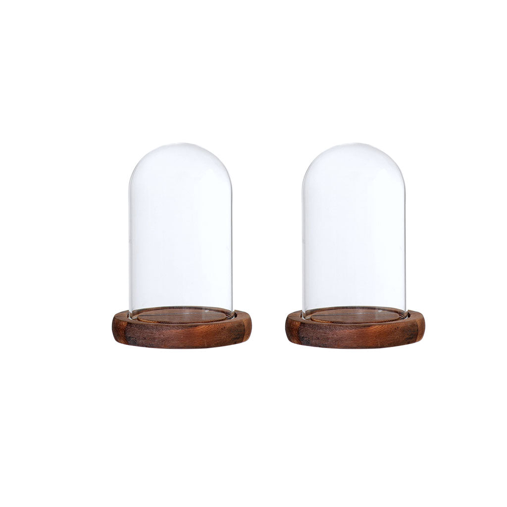 2xGlass Dome Cloche with Base Flower Landscape Holder Glass Cover Brown A