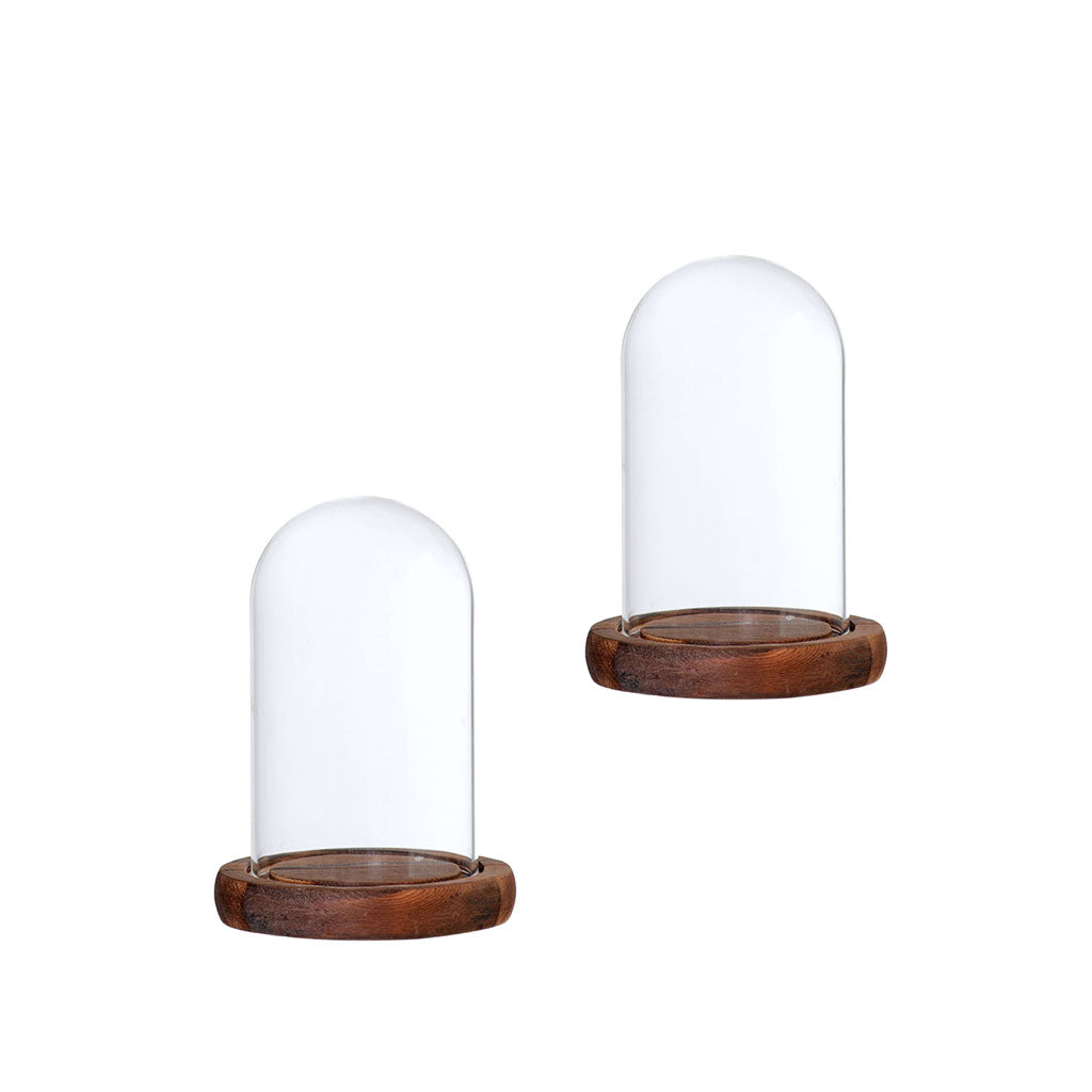 2xGlass Dome Cloche with Base Flower Landscape Holder Glass Cover Brown A