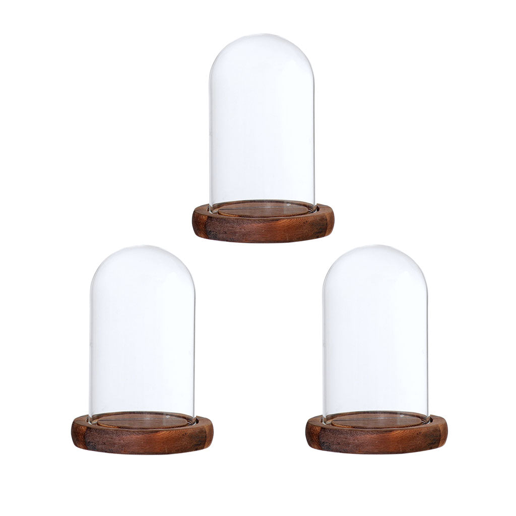3xGlass Dome Cloche with Base Flower Landscape Holder Glass Cover Brown A