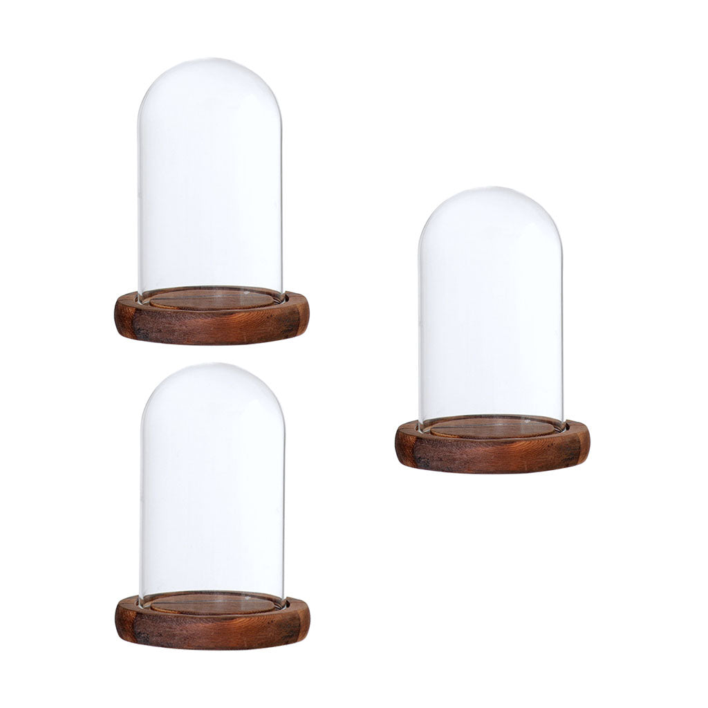 3xGlass Dome Cloche with Base Flower Landscape Holder Glass Cover Brown A