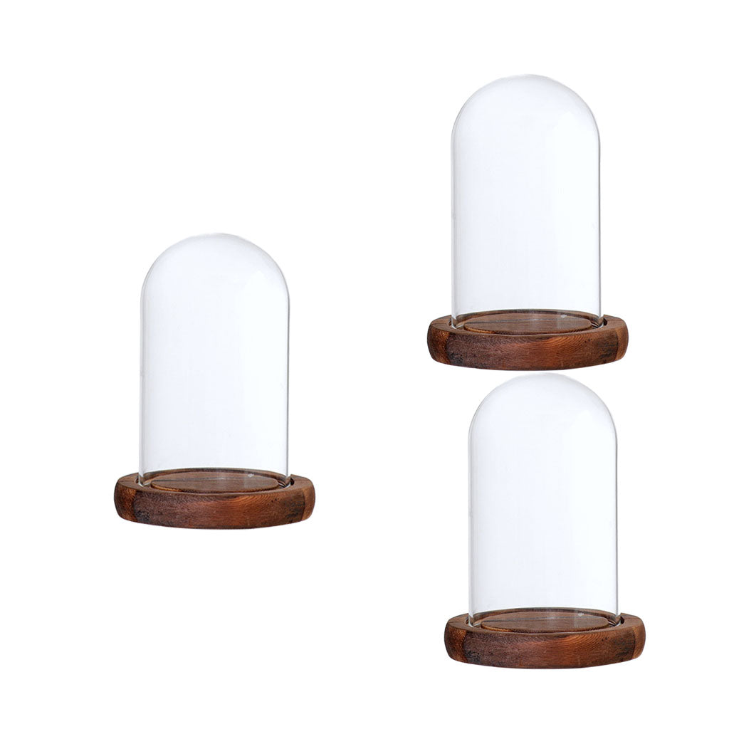 3xGlass Dome Cloche with Base Flower Landscape Holder Glass Cover Brown A