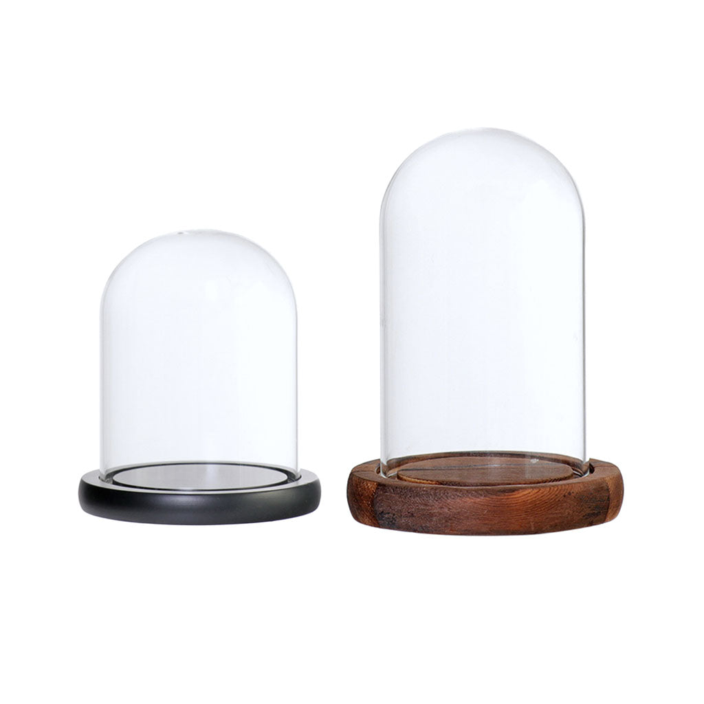 2xGlass Dome Cloche Flower Landscape Holder Glass Cover 2Color