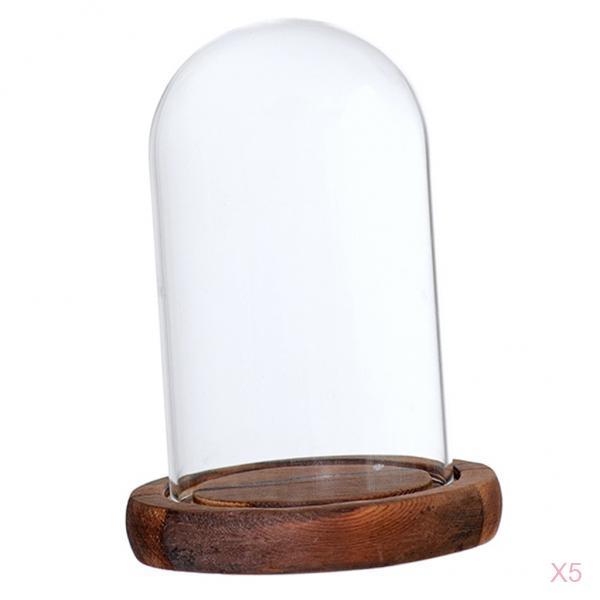 5xGlass Dome Cloche with Base Flower Landscape Holder Glass Cover Brown A