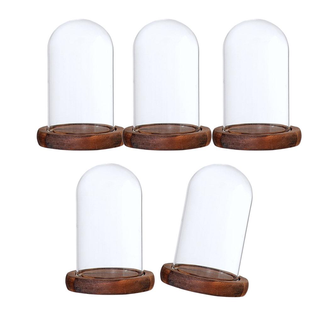 5xGlass Dome Cloche with Base Flower Landscape Holder Glass Cover Brown A