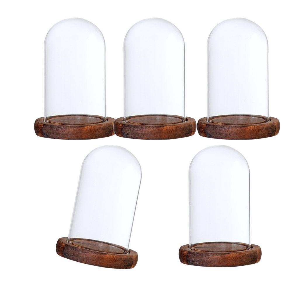 5xGlass Dome Cloche with Base Flower Landscape Holder Glass Cover Brown A