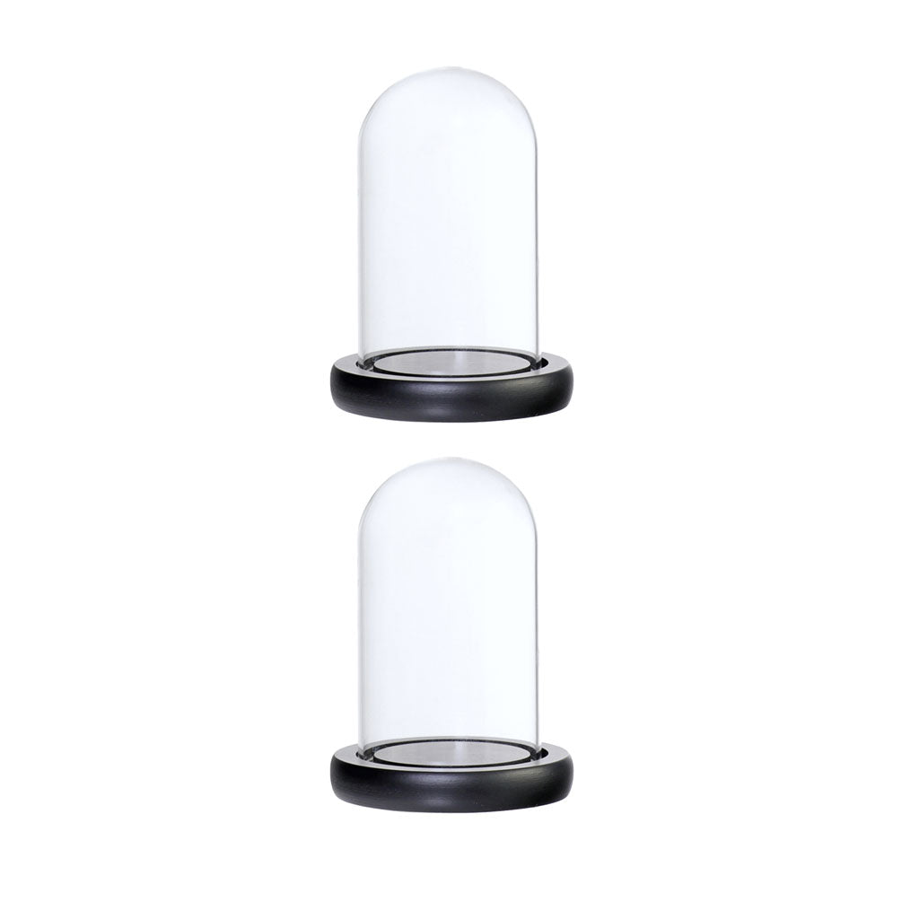 2xGlass Dome Cloche with Base Flower Landscape Holder Glass Cover Black A