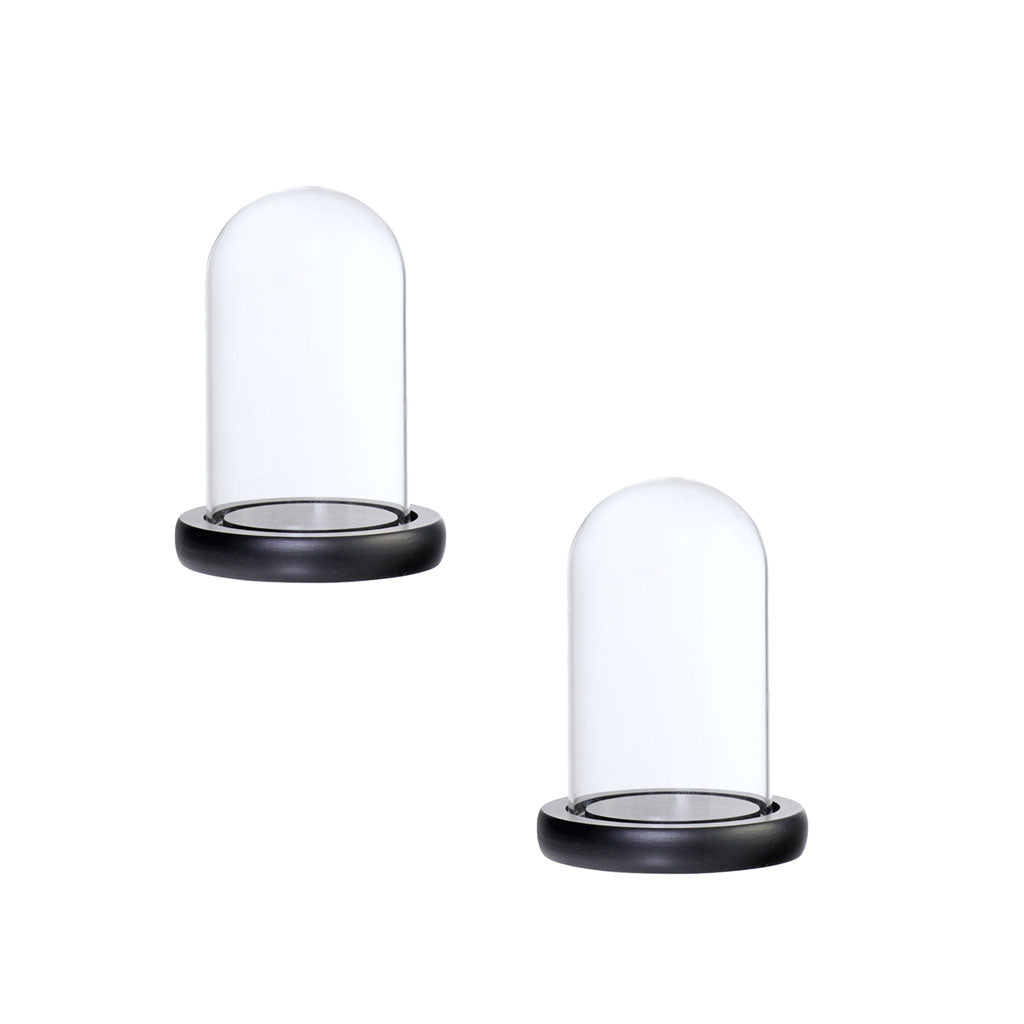 2xGlass Dome Cloche with Base Flower Landscape Holder Glass Cover Black A