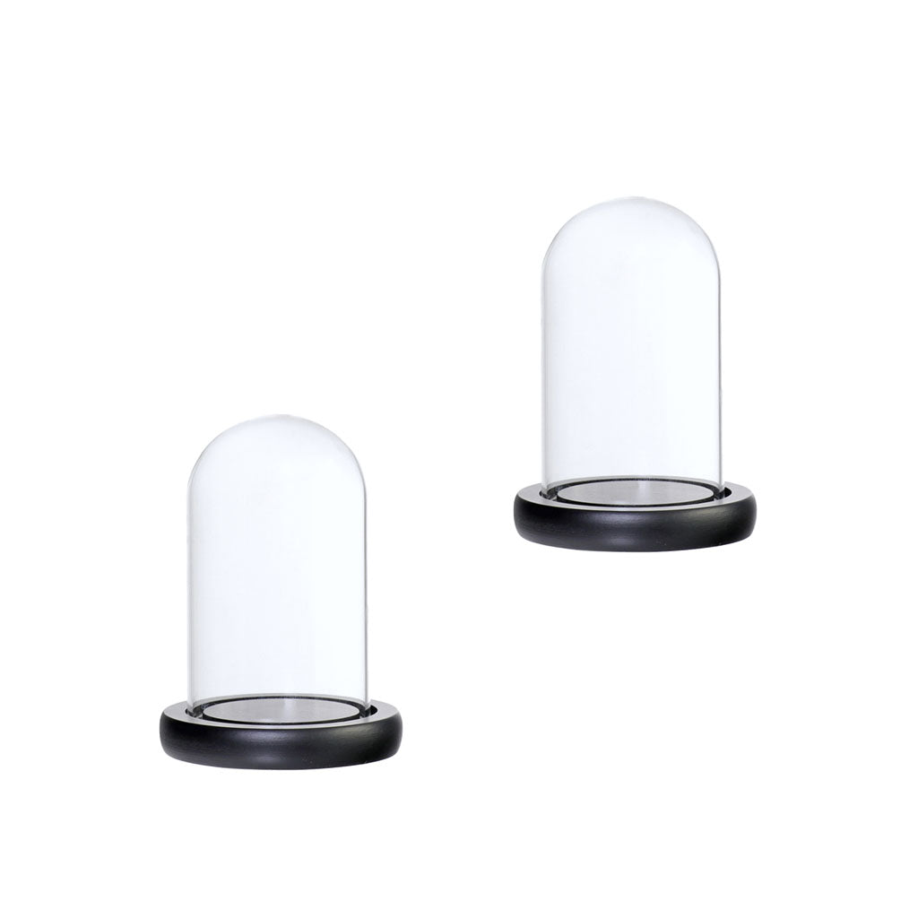 2xGlass Dome Cloche with Base Flower Landscape Holder Glass Cover Black A
