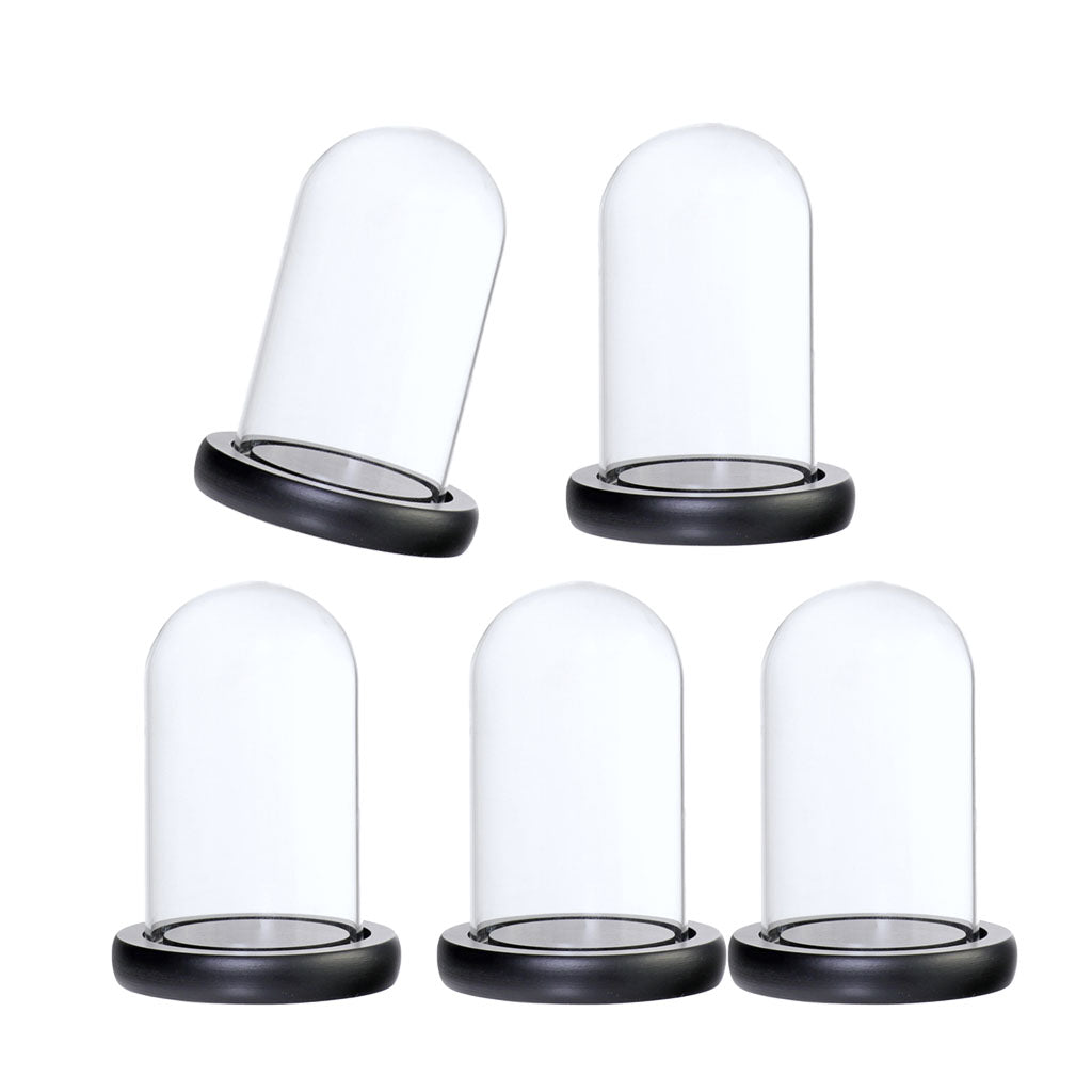 5xGlass Dome Cloche with Base Flower Landscape Holder Glass Cover Black A