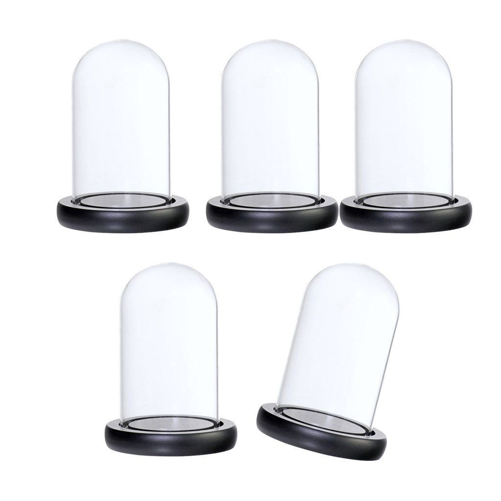 5xGlass Dome Cloche with Base Flower Landscape Holder Glass Cover Black A