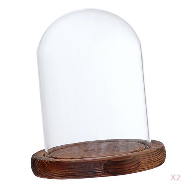 2xGlass Dome Cloche with Base Flower Landscape Holder Glass Cover Brown B