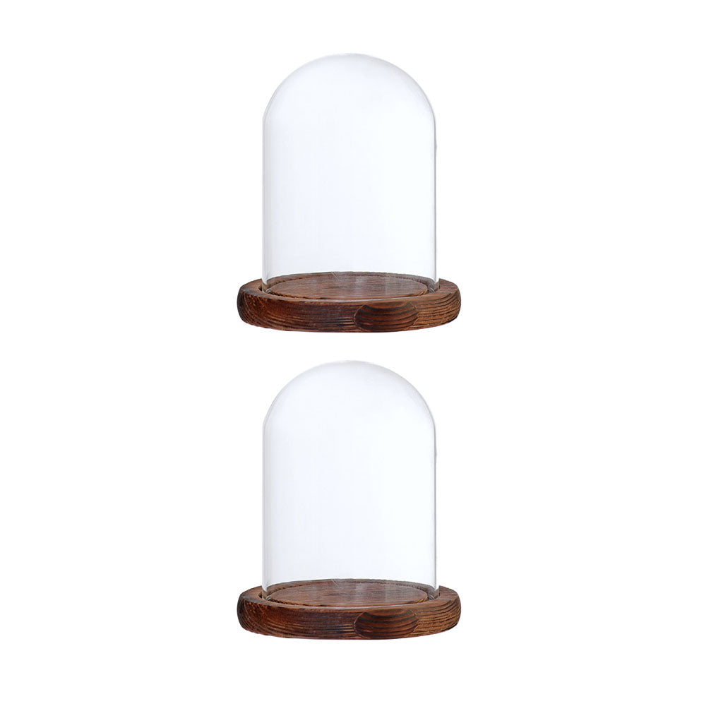 2xGlass Dome Cloche with Base Flower Landscape Holder Glass Cover Brown B
